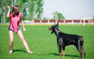 viralmd-marketing-Sedentary-To-Active-Revitalize-Your-Life-By-Prioritizing-Regular-Movement.