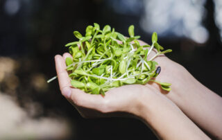 viralMD-marketing-Natures-Aid-Herbal_-Dietary-_-Activity-Approaches-To-Diabetes-Management