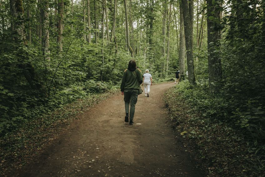 viralmd-Forest-Bathing-vs-Urban-Hiking-Which-Nature-Fix-Wins-for-Cortisol-Reduction viralmd-Forest-Bathing-vs-Urban-Hiking-Which-Nature-Fix-Wins-for-Cortisol-Reduction